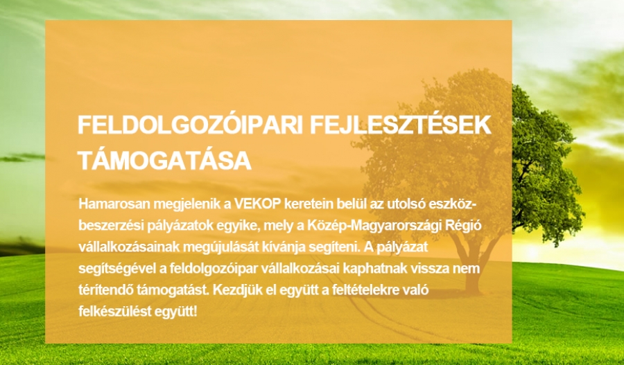 VEKOP-1.2.5-19 Feldolgoz&oacute;ipari fejleszt&eacute;sek t&aacute;mogat&aacute;sa