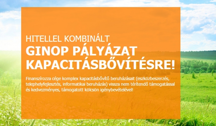 Hitellel kombin&aacute;lt komplex kapacit&aacute;sfejleszt&eacute;si p&aacute;ly&aacute;zat a vid&eacute;ki r&eacute;gi&oacute;kban