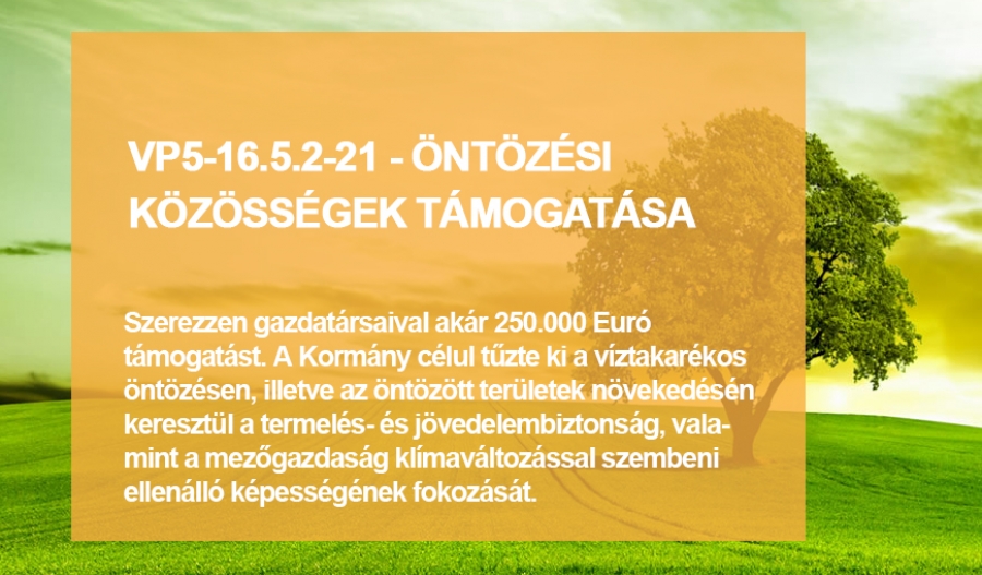 VP5-16.5.2-21 - &Ouml;nt&ouml;z&eacute;si k&ouml;z&ouml;ss&eacute;gek egy&uuml;ttműk&ouml;d&eacute;s&eacute;nek t&aacute;mogat&aacute;sa
