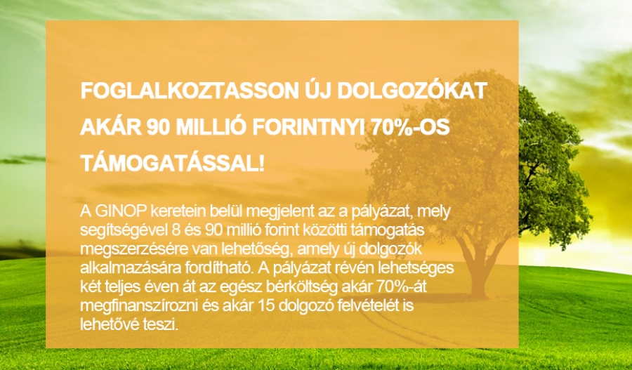 Foglalkoztasson &uacute;j dolgoz&oacute;kat ak&aacute;r 90 milli&oacute; forintnyi 70%-os t&aacute;mogat&aacute;ssal!