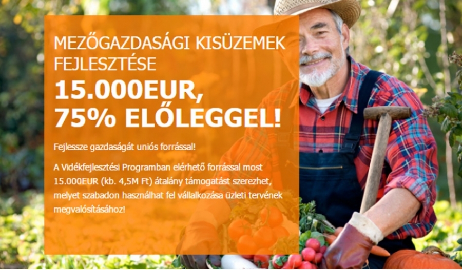 Mezőgazdas&aacute;gi kis&uuml;zemek fejleszt&eacute;se